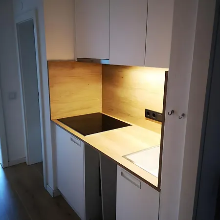 公寓 Haus Excelsior 32